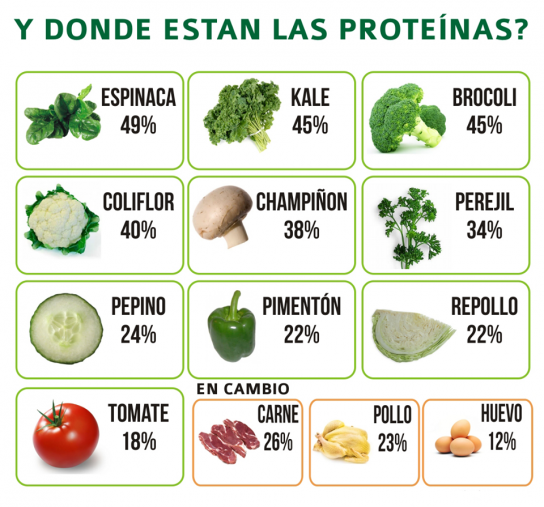Proteina vegetal de alta calidad