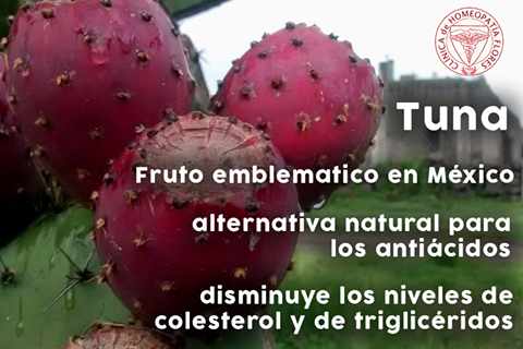 La importancia de la tuna