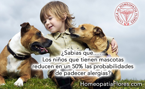 Mascotas y alergias