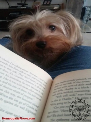 A ti también te “habla” tu perro?