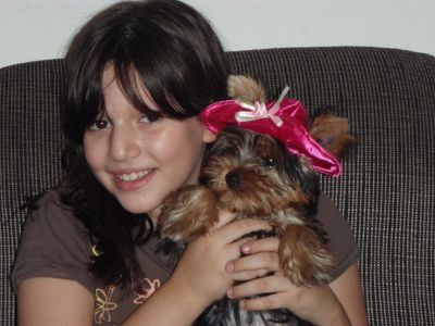 Las mascotas mejoran tu salud.