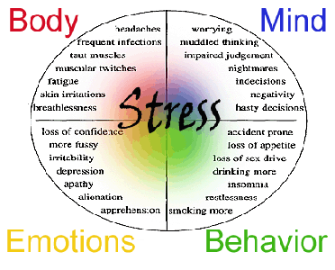 Efectos negativos del estres
